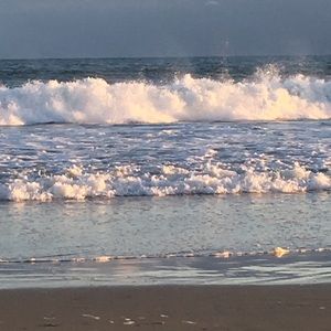 Meet your Posher, Michaela